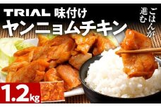 ヤンニョムチキン 1.2kg 味付き タレ漬け 甘辛 鶏肉 モモ 冷凍 簡単調理 惣菜 おかず お取り寄せ グルメ 福岡