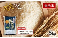  令和7年産　福岡県産ブランド米「元気つくし」無洗米　5kg【11月下旬頃より順次出荷予定】