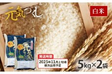  令和7年産　福岡県産ブランド米「元気つくし」白米10kg【11月上旬頃より順次出荷予定】