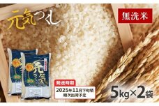  令和7年産　福岡県産ブランド米「元気つくし」無洗米10kg【11下旬頃より順次出荷予定】
