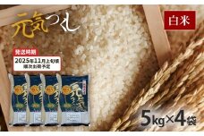  令和7年産　福岡県産ブランド米「元気つくし」白米20kg【11月上旬頃より順次出荷予定】