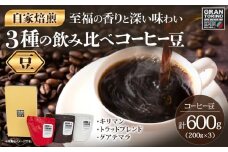 GRAN TORINO 200g×3種類 コーヒー 豆 キリマン トラッドブレンド グアテマラ 3種 飲み比べ セット 計600g 自家焙煎 珈琲豆 ドリンク 飲料 福岡県 福岡 九州 お取り寄せ