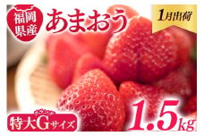 福岡県産 あまおう 1500g （250g×6パック） いちご 1月中発送 いちご 苺 フルーツ 果物 くだもの 大粒Gサイズ グランデ 農家直送 大粒 不揃い 福岡県 福岡 九州 グルメ お取り寄せ