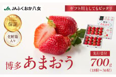 先行受付【2025年12月発送開始】博多あまおう700g（化粧箱）｜ＪＡふくおか八女 あまおう いちご 苺 イチゴ フルーツ 果物 くだもの 人気  旬 福岡県産 アフター補償 ギフト 化粧箱入り 贈答品 プレゼント 贈り物 数量限定 期間限定 産地直送 デラックス 福岡県 八女市