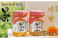 かの蜂 国産里山蜂蜜【500g×2本】セット　養蜂一筋60年自慢の一品 保存食 防災グッズ