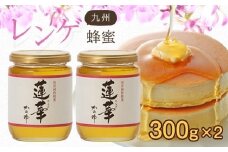 ＜国産＞かの蜂 九州レンゲ蜂蜜【300g×2個】採蜜できる量が少ない貴重な純粋蜂蜜 蜂蜜 はちみつ ハチミツ 保存食 防災グッズ