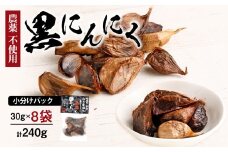 ＜農薬不使用＞八女八片黒にんにく（30ｇ×8袋）メロンの３.５倍の甘さで臭わない！ 農薬不使用 臭わない 疲労回復 健康 グルメ 免疫力アップ 九州 黒にんにく 八女 福岡