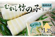 むかし竹の子　250g×5本セット｜【出荷時期】2024年5月以降