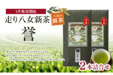 【2025年新茶】＜八女茶＞走り八女新茶誉２本詰合せ【2025年5月発送開始】