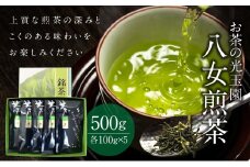 【お茶の光玉園】八女煎茶 100g×5本セット お茶 煎茶 緑茶 茶葉 八女茶 ギフト プレゼント 手土産 贈答用 福岡県 八女市