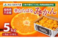 【先行予約】【2025年12月発送開始】華たちばなみかん 約5kg｜ＪＡふくおか八女 蜜柑 ミカン 秀品 福岡 果物 フルーツ 先行予約 家庭用 自宅用 数量限定 期間限定