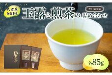 【ギフト用】＜八女茶＞許斐本家　玉露と煎茶の詰合せ（ギフト対応）