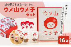 ＜道の駅たちばなオリジナル＞ウメ山ウメ子セット