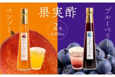 果物酢（マンゴー・ブルーベリー）セット【牛乳やソーダ割・ヨーグルトにかけて】