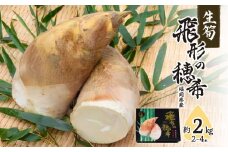 【2024年3月末より配送】生筍 「飛形の穂希」約2kg 