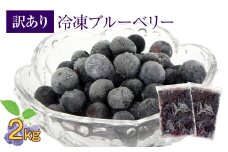 かの蜂 国産 【訳あり】 冷凍ブルーベリー2kg （1kg×2袋） 八女市産 ブルーベリー