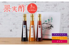 ＜江崎酢醸造元＞果実酢3本セット(マンゴー、ブルーベリー、ザクロ)