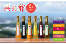 ＜江崎酢醸造元＞果実酢6本セット 各300ml