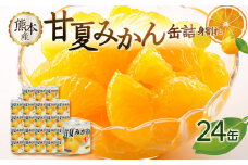 甘夏みかん 缶詰 24缶入り（身割れ） フルーツ フルーツ缶詰 缶詰 はちみつ 保存食 非常食 防災 備蓄食 かんづめ 缶詰