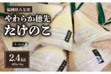 福岡県八女産　やわらか穂先たけのこ　400g×6袋｜【出荷時期】2024年5月以降　竹の子 筍
