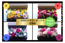 【年4回お届け】四季のフラワーボックス定期便（配送月：3月・6月・9月・12月）＜配送不可：北海道・沖縄・離島＞