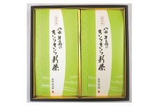 【ギフト用】【受付開始】新茶をお届け！大走り新茶　深蒸し茶セット【2023年4月下旬発送開始予定】