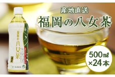 【産地直送】福岡の八女茶 煎茶ペットボトル（500ml×24本）