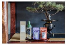 【ギフト・ご自宅兼用日本茶 緑茶】＜八女水出し茶＞玉露・焙じ茶ティーバッグ2本と水出しボトルセット