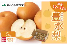 【先行受付】【アフター保証】豊水梨（5kg）【ＪＡふくおか八女】｜2026年8月中旬～発送予定 糖度12～13% なし 梨 ナシ 豊水梨 豊水 福岡 4L〜2Lサイズ 産地直送 期間限定 甘い みずみずしい 果物 果実 フルーツ デザート 旬