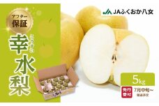 【先行受付】【アフター保証】幸水梨（5kg）【ＪＡふくおか八女】｜2026年7月下旬～発送予定 梨 なし 幸水 幸水梨 フルーツ 果物 くだもの みずみずしい 爽やか 甘い シャリシャリ食感 産地直送 デザート 旬 甘い