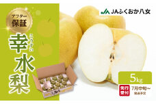 【先行受付】【アフター保証】幸水梨（5kg）【ＪＡふくおか八女】｜2026年7月下旬～発送予定 梨 幸水 梨 梨 5kg みずみずしい甘みの梨 光センサー選果の梨 しゃりしゃりした食感の梨