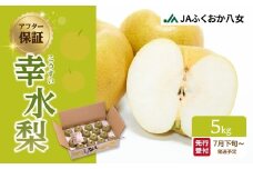 【先行受付】【アフター保証】幸水梨（5kg）【ＪＡふくおか八女】｜2026年7月下旬～発送予定 梨 幸水 梨 梨 5kg みずみずしい甘みの梨 光センサー選果の梨 しゃりしゃりした食感の梨