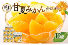 甘夏みかん 缶詰 12缶入り（身割れ）フルーツ缶詰 はちみつ 保存食 非常食 防災 備蓄食 かんづめ 缶詰 みかん