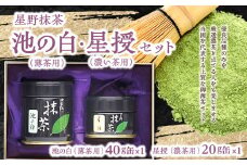 星野抹茶 星授（濃い茶用）・池の白（薄茶用） セット 抹茶 濃い茶 薄茶 星野茶 抹茶粉 お稽古 茶道