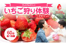 ＜先行受付＞いちご狩り体験ペアチケット【プレミアムチケット】