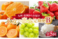 九州・福岡からお届け！お楽しみ八女の恵み定期便【全５回】 B｜配送不可：北海道・沖縄・離島
