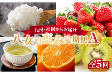 九州・福岡からお届け！八女の恵み定期便【全５回】 A