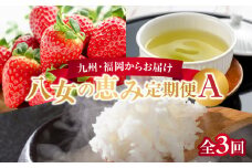 九州・福岡からお届け！八女の恵み定期便【全３回】 A｜＜配送不可：北海道・沖縄・離島＞