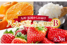 九州・福岡からお届け！八女の恵み定期便【全３回】 B｜＜配送不可：北海道・沖縄・離島＞