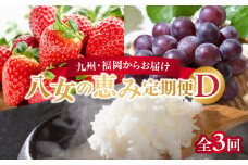 九州・福岡からお届け！八女の恵み定期便【全３回】 D｜＜配送不可：北海道・沖縄・離島＞