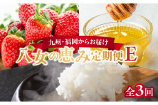 九州・福岡からお届け！八女の恵み定期便【全３回】 E｜＜配送不可：北海道・沖縄・離島＞
