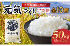 九州・福岡からお届け！ブランド米「元気つくし」定期便【全10回】 お米 米 コメ 白米 特A 直送 お弁当 おにぎり 炊きたて ツヤ 粘り もちもち 弾力 卵かけご飯 福岡県 八女市