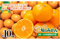 【先行受付】九州・福岡フルーツ王国八女　産地直送！旬のみかん　約１０ｋｇ【2025年9月～12月頃発送】＜配送不可：北海道・沖縄・離島＞