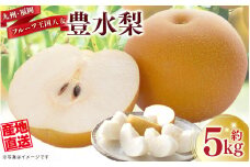 産地直送！ 梨(豊水) 約5kg 【2026年8～9月発送】九州・福岡フルーツ王国八女 ＜配送不可：北海道・沖縄・離島＞ なし ナシ 果物 果実 フルーツ 旬な梨 新鮮な梨 甘い梨 ジューシーな梨 みずみずしい梨 国産梨 豊水梨