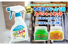 なっとう君　3点セット【消臭剤・カビ取りスプレー】