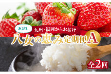 九州・福岡からお届け！八女の恵み定期便お試し【全2回】A