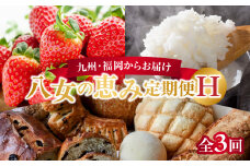 九州・福岡からお届け！八女の恵み定期便【全3回】H