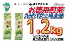 創業200年の老舗・古賀製茶本舗  九州八女工場直送お徳用煎茶1.2kg