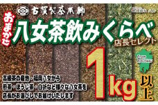 創業200年の老舗・古賀製茶本舗 【店長おまかせ】いろんな八女茶１kg