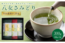 【自社農園から直送】鮮やかな水色に素材を生かした味わい　八女さみどり三本ギフト